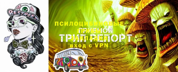 PSILOCYBIN Алзамай